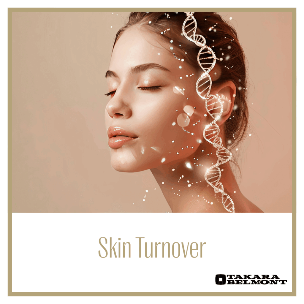 Skin Turnover